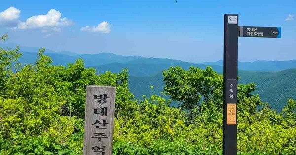 온라인 커뮤니티