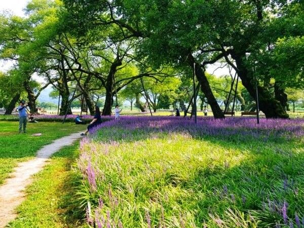 온라인 커뮤니티