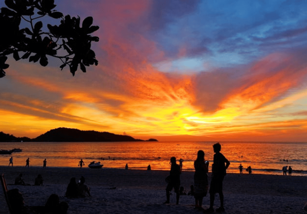 온라인 커뮤니티