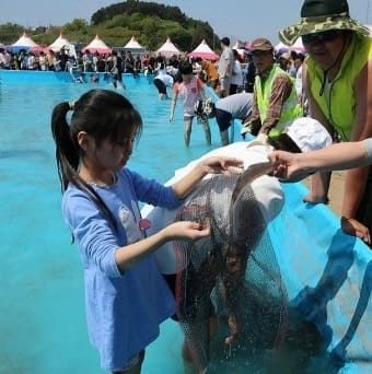 온라인 커뮤니티