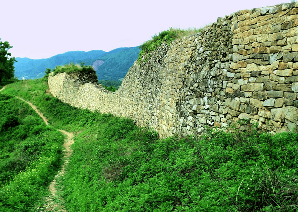 트립어드바이저