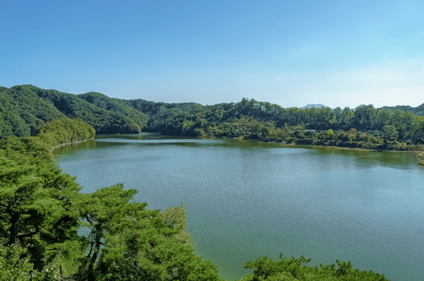 온라인 커뮤니티