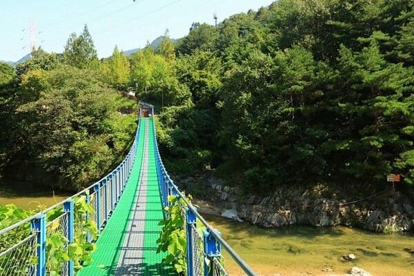 온라인 커뮤니티