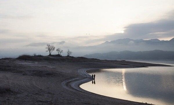 온라인 커뮤니티
