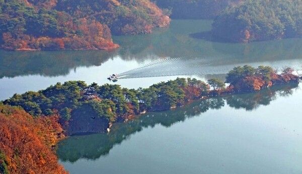 온라인 커뮤니티