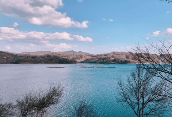 온라인 커뮤니티