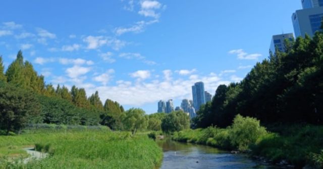 온라인 커뮤니티