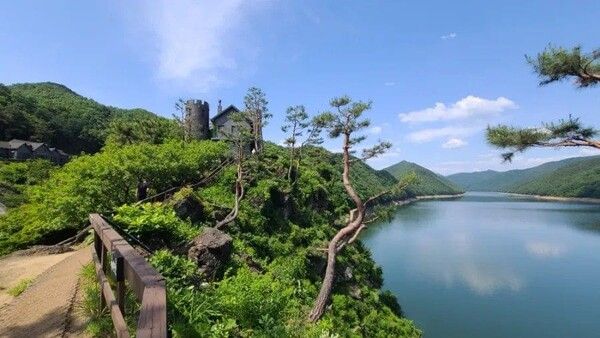 온라인 커뮤니티