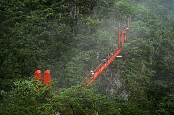 온라인 커뮤니티