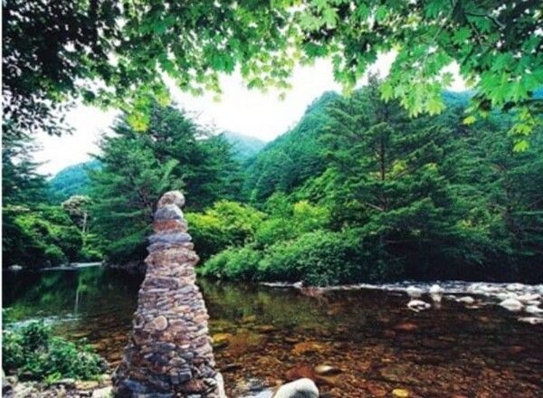 온라인 커뮤니티