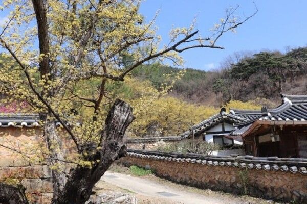 온라인 커뮤니티