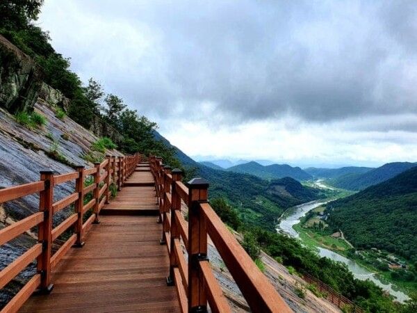 온라인 커뮤니티