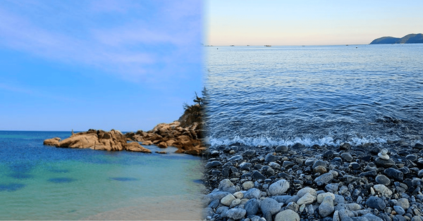 온라인 커뮤니티&nbsp; / 트리플