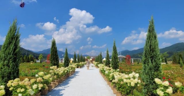 온라인 커뮤니티