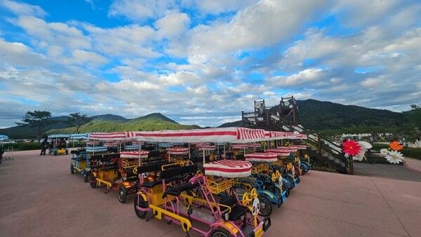 온라인 커뮤니티