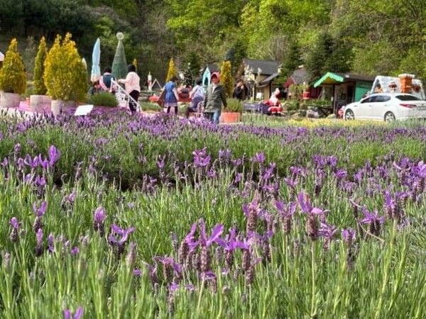 온라인 커뮤니티