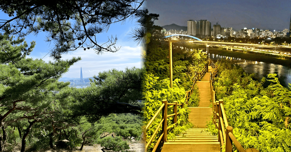 온라인 커뮤니티