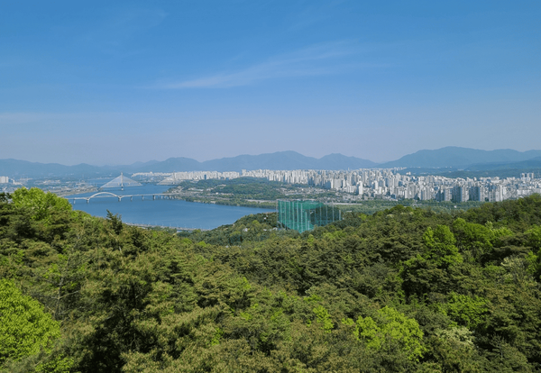 온라인 커뮤니티