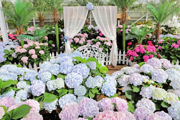 온라인 커뮤니티