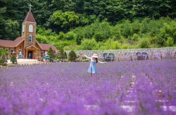온라인 커뮤니티