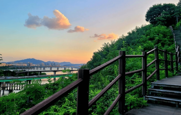 온라인 커뮤니티