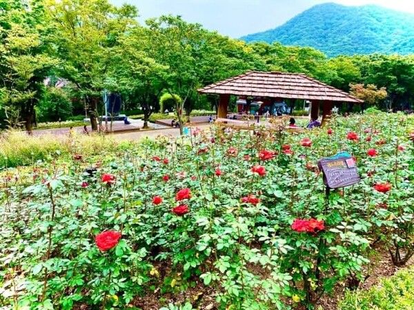 온라인 커뮤니티