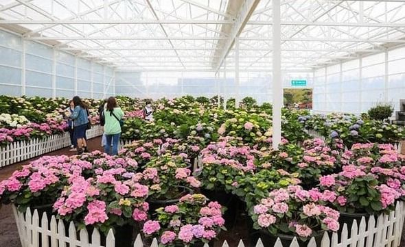 온라인 커뮤니티