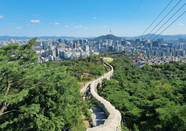 온라인 커뮤니티