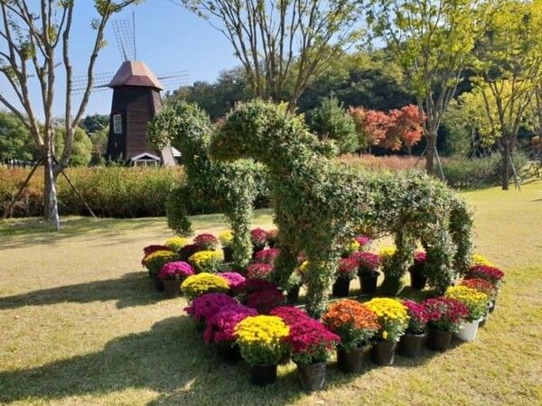 온라인 커뮤니티