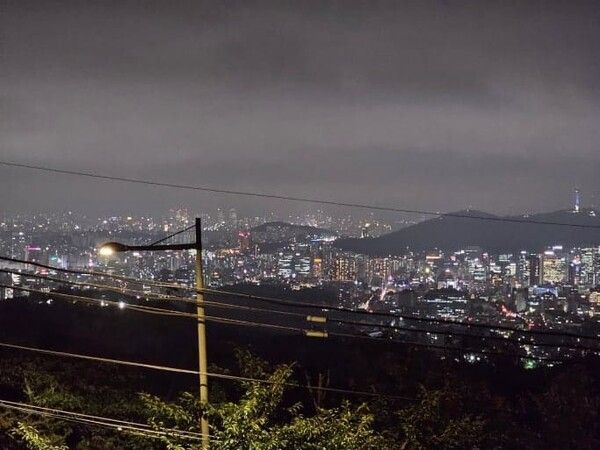 온라인 커뮤니티