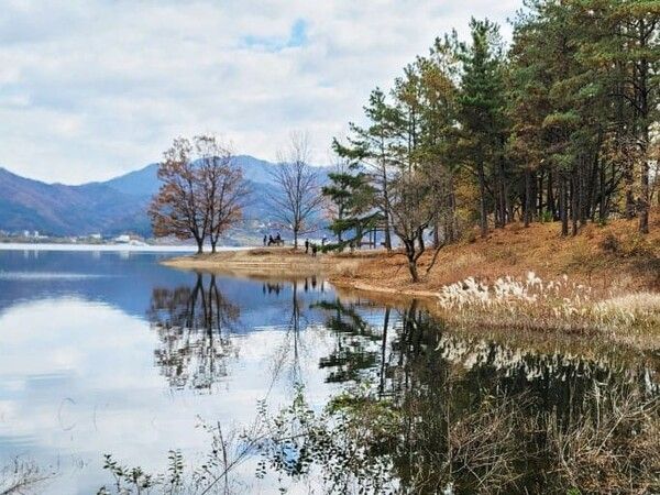 온라인 커뮤니티