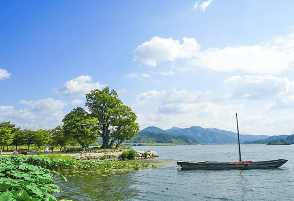 온라인 커뮤니티