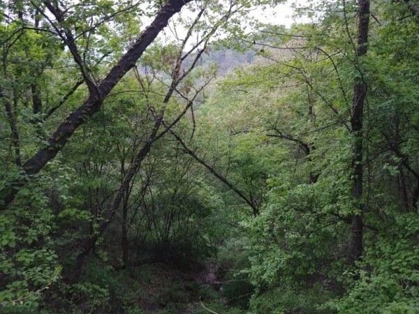 온라인 커뮤니티