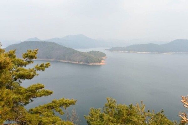 온라인 커뮤니티