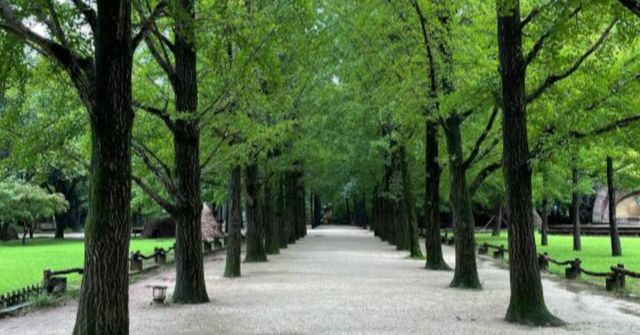 온라인 커뮤니티