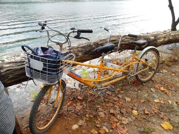 온라인 커뮤니티