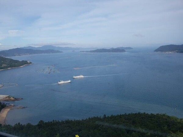 온라인 커뮤니티