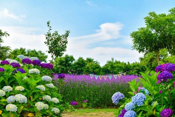 온라인 커뮤니티