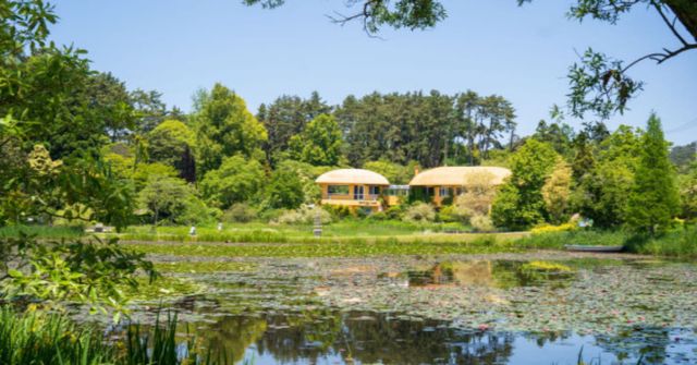 온라인 커뮤니티