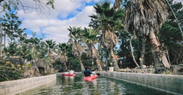 온라인 커뮤니티