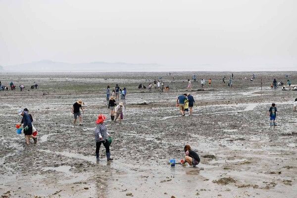 2025 화성 뱃놀이 축제 / 공식 홈페이지