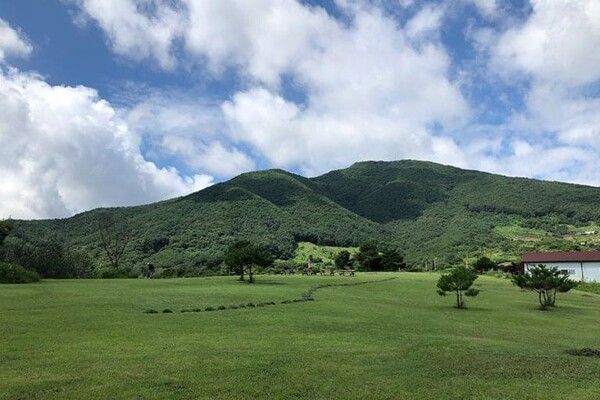 온라인 커뮤니티
