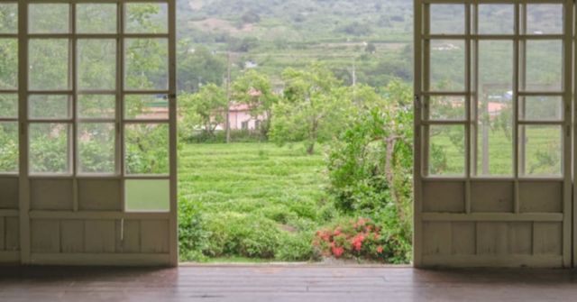 온라인 커뮤니티