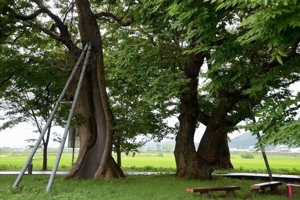 온라인 커뮤니티