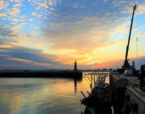 온라인 커뮤니티