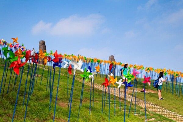 온라인 커뮤니티