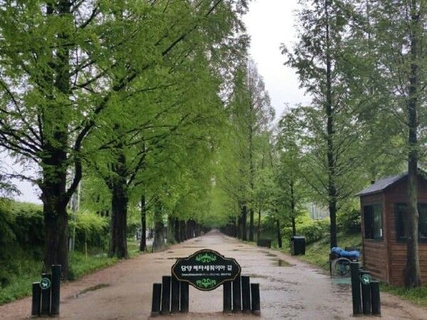 온라인 커뮤니티