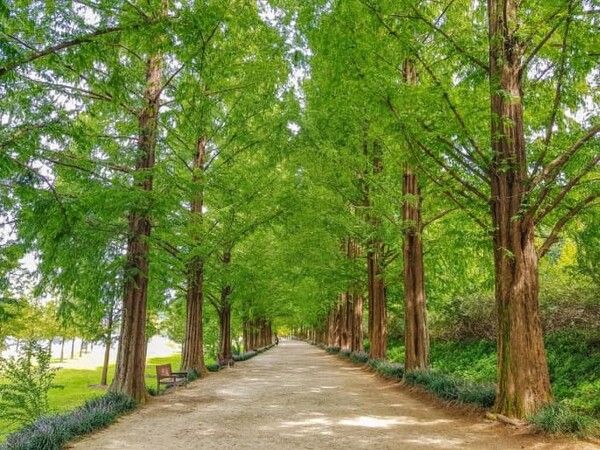 온라인 커뮤니티