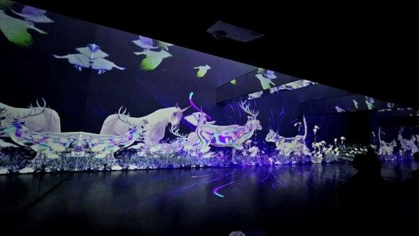 온라인 커뮤니티