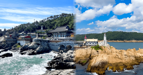 맘맘 / 비짓부산